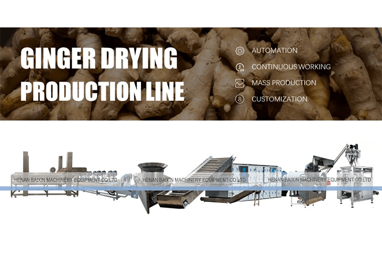 ginger drying production line